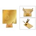 Shree Chinnamasta Pujan Yantra With Gold Polish